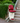 Butler-Hawle Outdoor Curved Stairlift